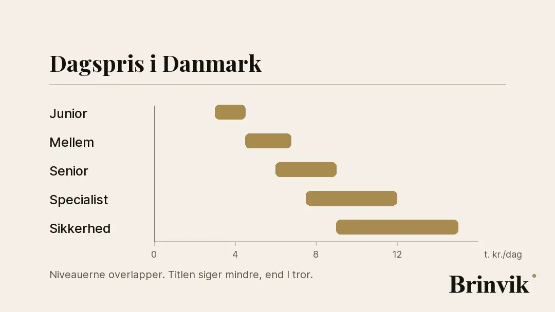 Vandret skala fra 0 til 16.000 kr. med fem spænd i dagspris: junior 3.000 til 4.500, mellem 4.500 til 6.750, senior 6.000 til 9.000, specialist 7.500 til 12.000 og sikkerhedsarkitekt 9.000 til 15.000. En lodret linje vandrer hen over skalaen og fremhæver det spænd, den står i.